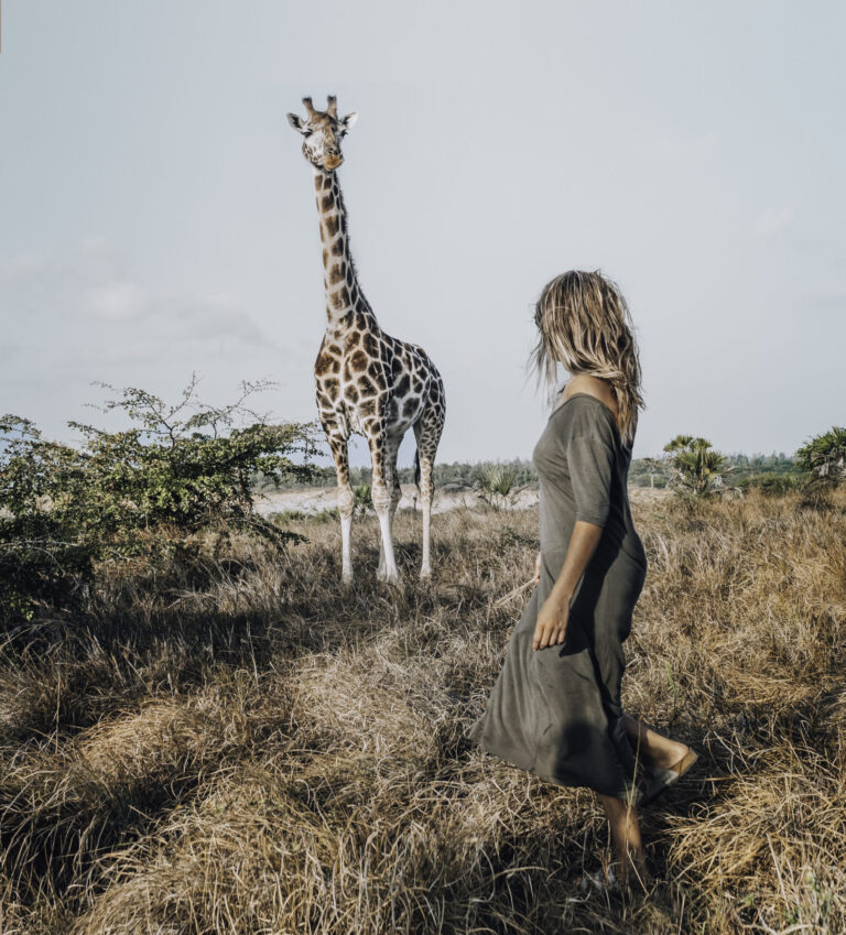 Majestic Giraffes in Tanzania